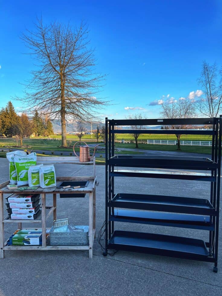 Image for Spring Planting : Seed Starting