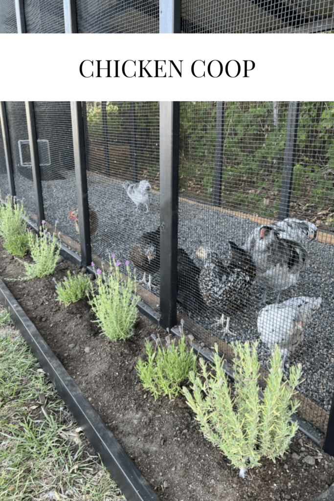 Chicken Coop • Dreaming of Homemaking