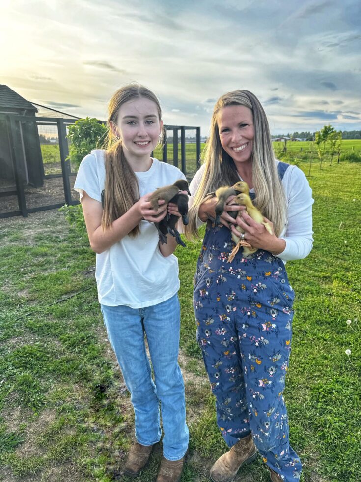 Image for Indian Runner Ducks