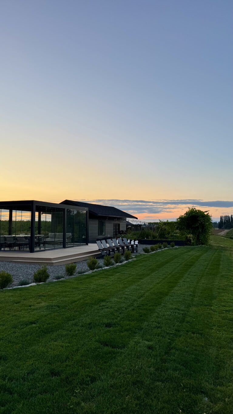 Low-Maintenance Lawn : How We Created Ours